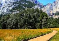 Yosemite Path